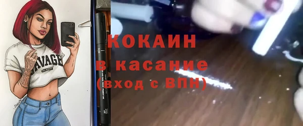 ГАЛЛЮЦИНОГЕННЫЕ ГРИБЫ Тайга