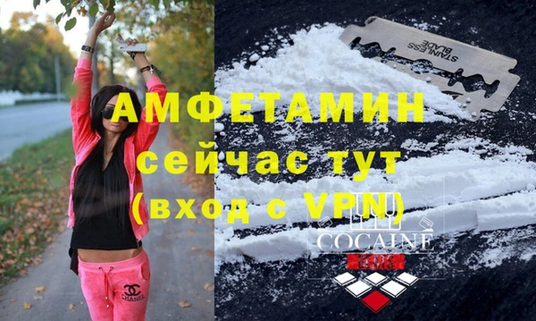 дживик Ельня