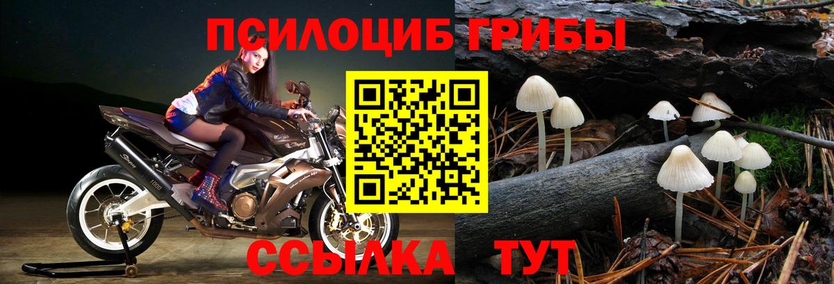 Галлюциногенные грибы Psilocybine cubensis  Вход с VPN  Протвино 